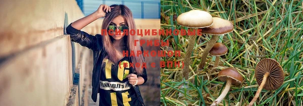 экстази Богданович